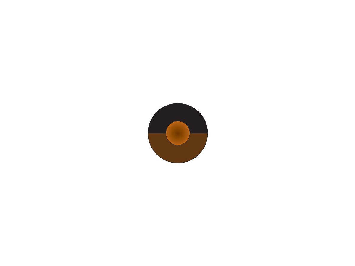 Fil X05V-K 0,50mm² brun/noir - Bobine à 250m